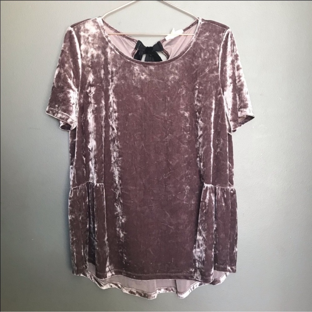 Anthropologie - Pleione Crushed Velvet Top, Medium